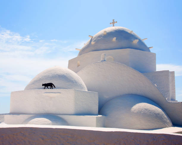 Greece, Ios island, Cyclades island, Agia Irini church with cat walking.