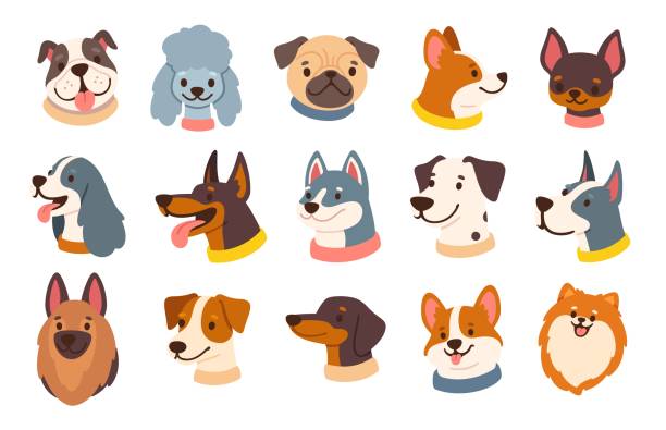 Dog avatars. Cartoon dog faces. Various doggy heads. Cute puppy portraits of different breeds. Friendly profiles pet icons. Funny muzzles. Vector set Dog avatars. Cartoon dog faces. Various doggy heads. Cute puppy portraits of different breeds. Friendly profiles pet icons. Funny muzzles. Vector set. funny ear stock illustrations