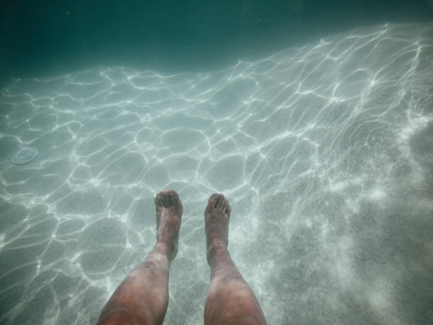 Two legs inside a fresh swimming pool in a summer holidays still