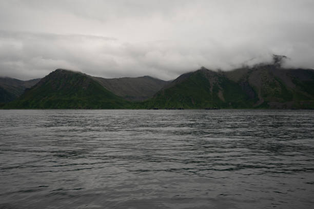 A bay surrounded by snow-capped mountains and dotted with ice formations. The magic of nature in its frozen splendor. A unique combination of ice and sea.Travel in cold weather, fresh air