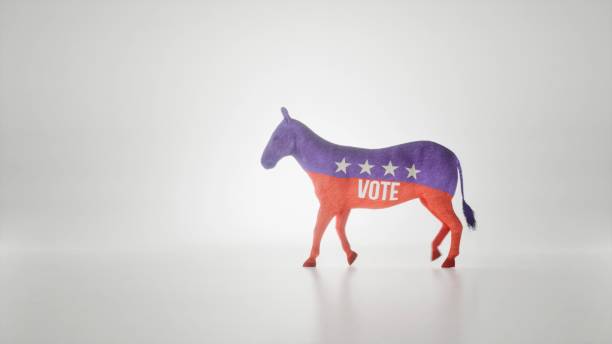 istock Vote Democrats.US presidental elections 2170249973