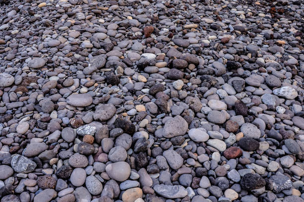 istock Dry round reeble stones 2170250396