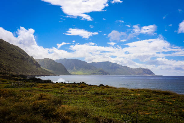 Dramatic view from Kaena Point, with green ground cover in the foreground, the Mount Kaala Mountain Range in the background, and a wave splashing against the rocky cliffs, as a fisherman silhouette adds scale beneath a bright blue sky filled with fluffy clouds.