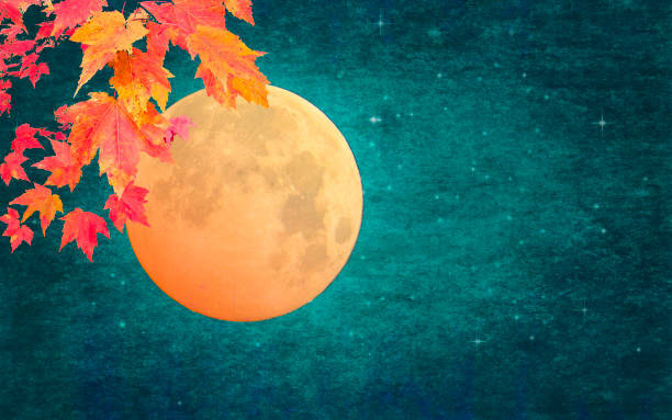 Autumn Leaves, Full Moon, Starry Sky, Copy Space - Atmospheric Mood