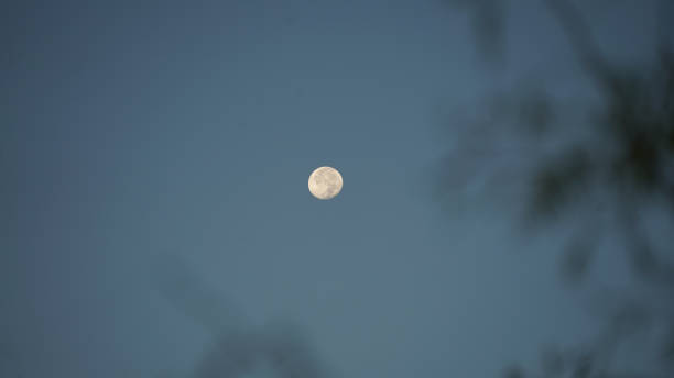 istock Blue Moon in Wetlands Park Las Vegas Nevada 2170256647