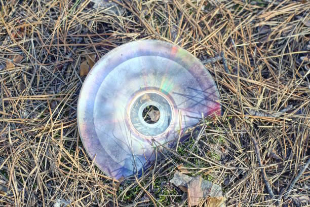 one color round old compact disc lies on the ground in brown dry pine needles outside in nature