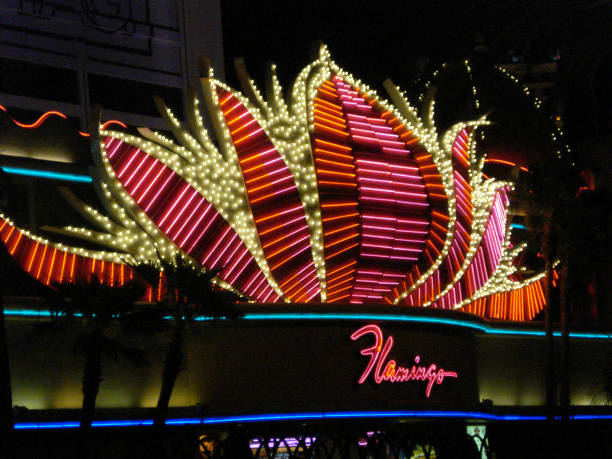 Davie, FL, USA - January 20, 2025: Seminole Hard Rock guitar hotel blue with neon laser lights