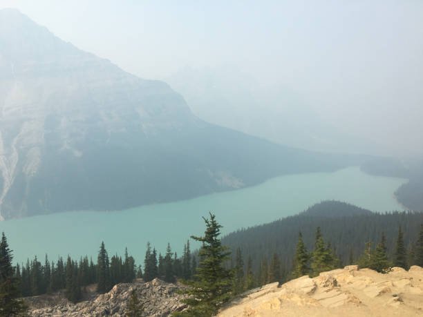 istock Peyto Lake, 2018 2170260951
