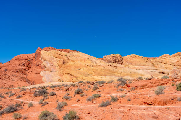 istock Valley of fire state park,, Nevada, USA 2170262359