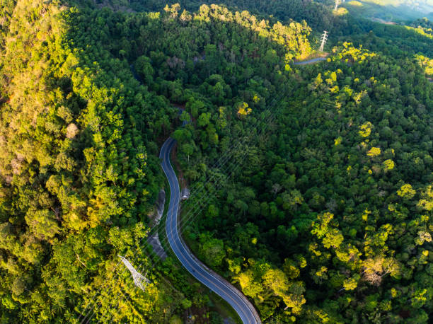 istock Aerial view Tropical Rainforest trees mountains 2170262493