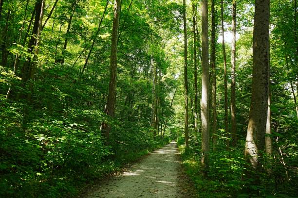 istock Allegheny Passage Trail Ohiopyle State Park Pennsylvania 2170264857