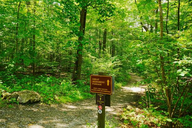 istock Allegheny Passage Trail Ohiopyle State Park Pennsylvania 2170264859