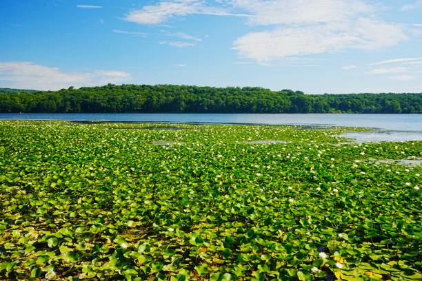 istock 202407 Yellow Creek State Park Pennsylvania 2170264951