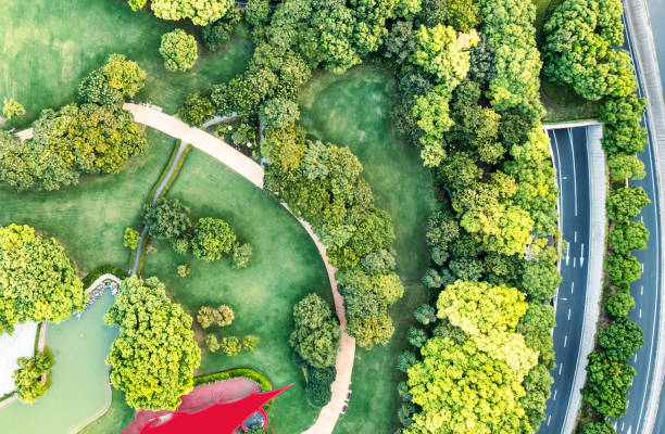 istock Bird's eye view of modern city green space 2170266813