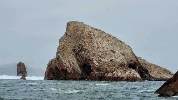istock Peru reserve islands ocean rocky 2170270256