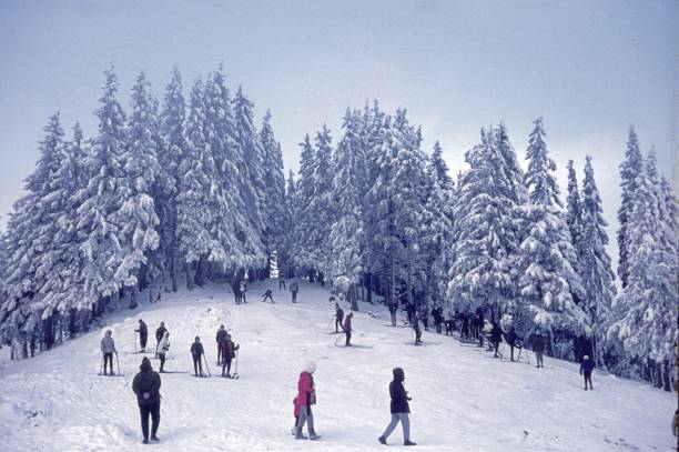 Postavarul, Romania, 1968. Winter holidaymakers skiing.