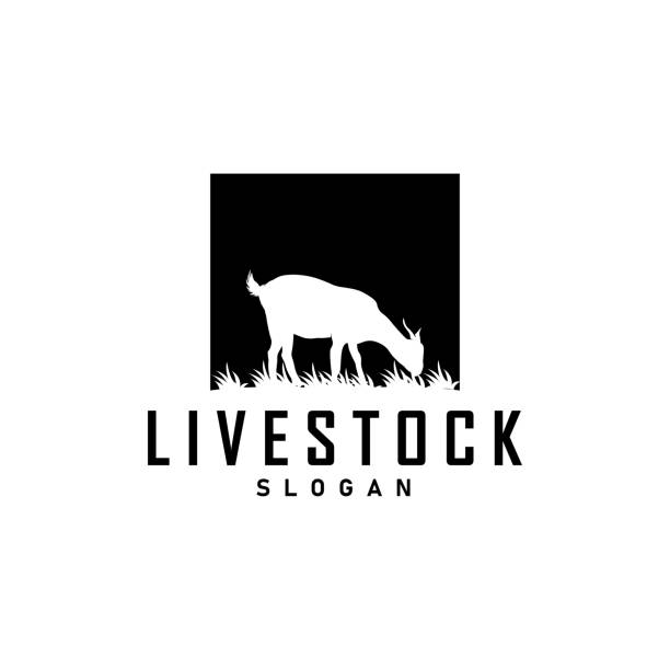 Cattle Farm Livestock, Farm Garden Land Agriculture Retro Vintage Emblem Design