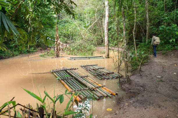 A man wearing outdoor gear and carrying a backpack stands on a muddy riverbank in a rainforest, observing a bamboo raft floating on the river. Surrounded by lush vegetation, tropical plants and large trees make up this deep jungle scene, creating an atmosphere of adventure and exploration, showcasing the raw beauty of this remote natural environment.