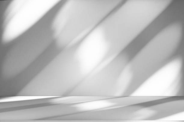 istock Studio style background wall decoration presentation uses white tones. with shadows cast from a nearby window, concept creating a decorative backdrop. 2170280150