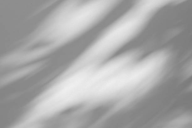 istock Studio style background wall decoration presentation uses white tones. with shadows cast from a nearby window, concept creating a decorative backdrop. 2170280154