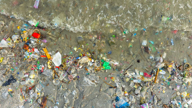 istock Top view of trash, plastic cups and plastic bags at the beach. environmental problem concept and healing the world 2170280206