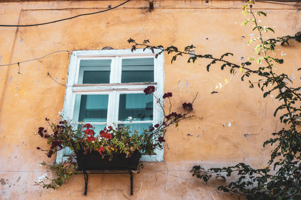 The beautiful window of an old, traditional house.