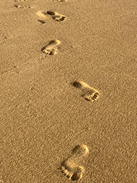 istock Footprints on the sand at Naiyang Beach Phuket 2170283516