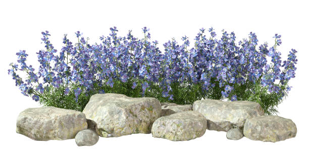istock Flowers blossoming and rocks composition design cutout white backgrounds 3d rendering 2170285170