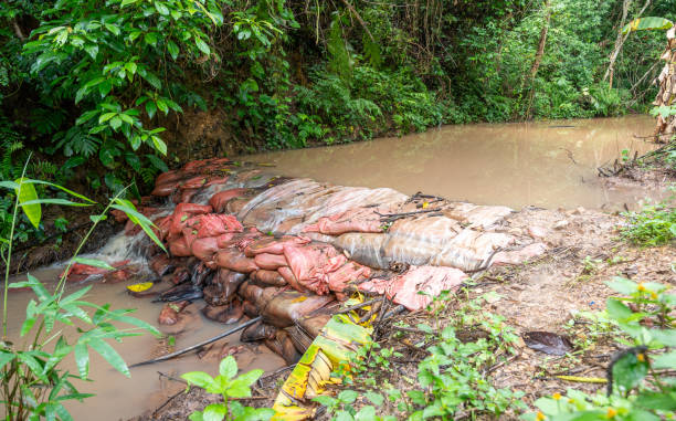 istock Sandbag dam flood control measures in the forest 2170286765