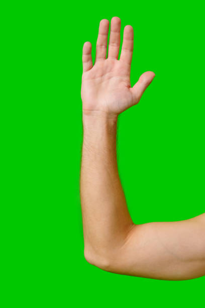 istock Hand Raised in a Gesture of Greeting Against a Bright Green Background 2170290864