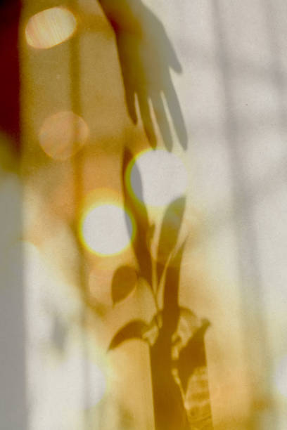 Blurred flares, softness, shadow of hand with flower, sunset background with floral pattern in light pastel colors. Boho style. Sunlight flare. Copy space. Lightweight mood