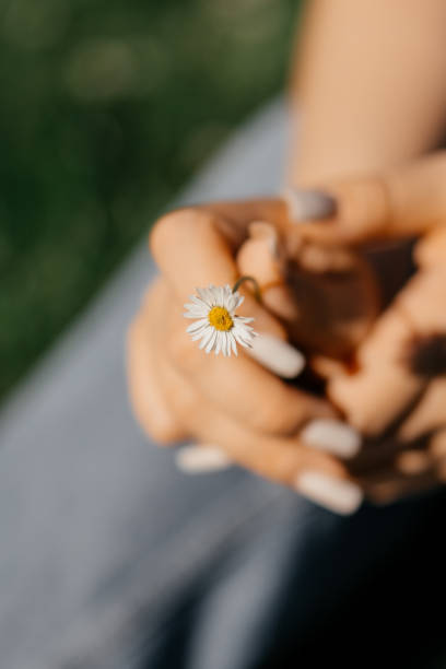 istock girl is holding a chamomile flower in hand 2170293133