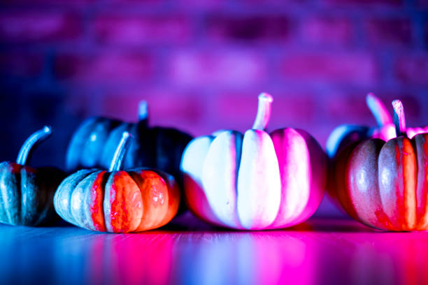 Pumpkins with neon lighting in dark, Halloween decoration
