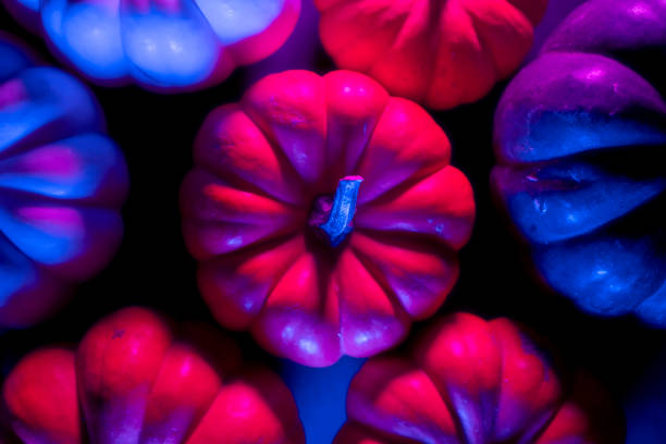 Pumpkins with neon lighting in dark, Halloween decoration