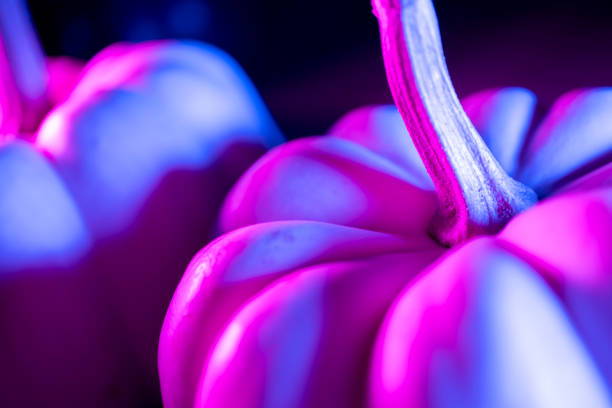 Close-up pumpkin with neon lighting in dark, Halloween decoration