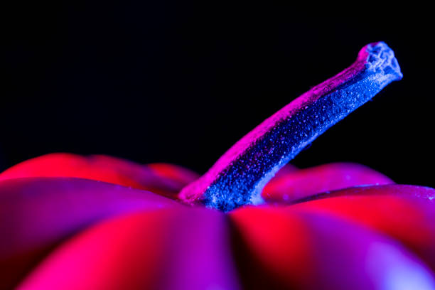 Close-up pumpkin with neon lighting in dark, Halloween decoration