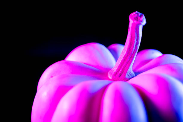 Pumpkin outside of a house in the fall