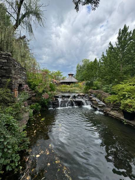 istock Zen Garden with Pond 2170298715