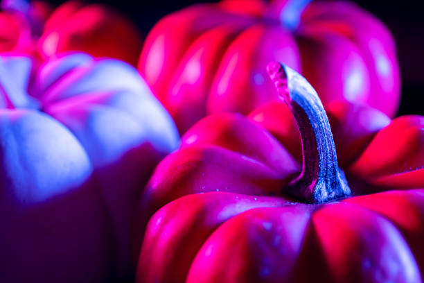 Halloween pumpkin isolated on white background