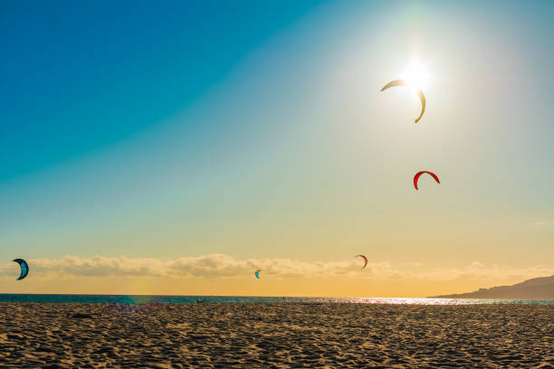 istock kites in the wind at mediterranean  paradise. 2170299428