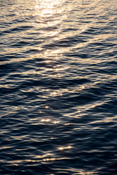 istock Vertical photo of a textured sea surface at sunset, with ripples reflecting sparkling sun rays. The shimmering water creates a beautiful and dynamic background, perfect for creative projects 2170300568