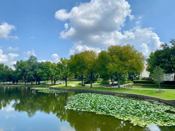 istock Serene park landscape with a pond, trees, and a clear blue sky on a sunny day 2170301010