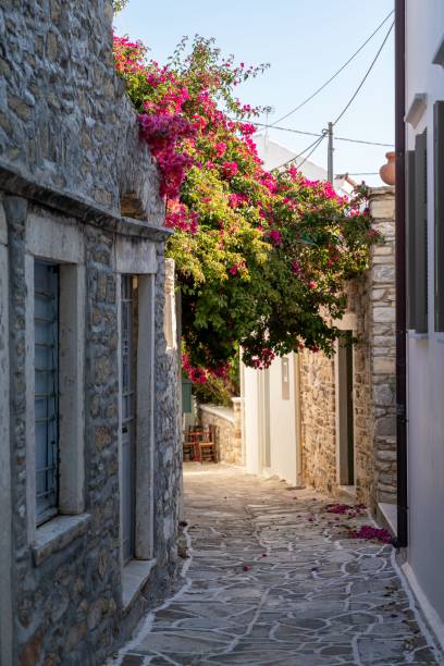 istock Blooming Pathways of Chora: A Glimpse into Naxos' Timeless Beauty. 2170301034