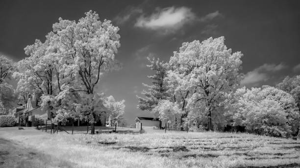 Infrared black and white photograph of a rural landscape with trees and a house under a clear sky.