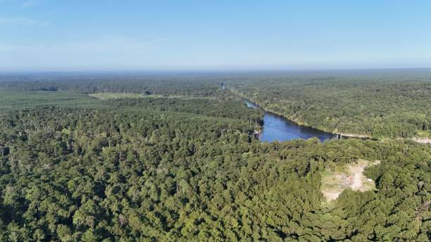 istock Aerial view of dense forest with winding river. 2170302507