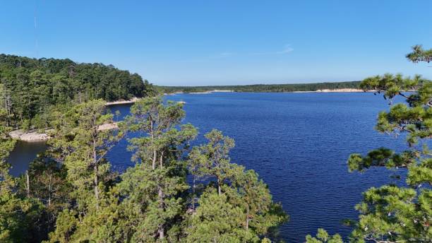 istock Scenic lake view with lush trees and clear sky. 2170302539