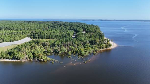 istock Aerial view of forested peninsula and calm blue waters 2170302548