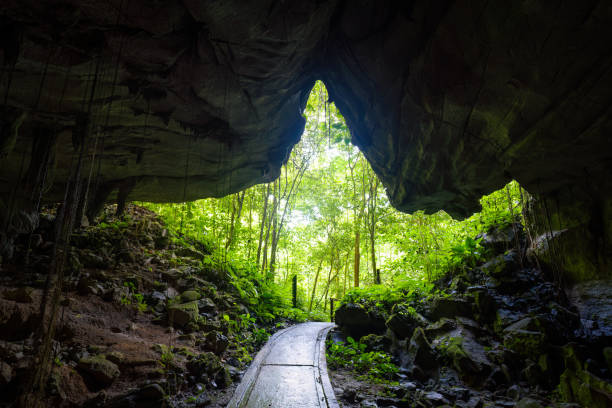 istock Scenic view from inside Lang's Cave looking out into Mulu National Park in Borneo Island, Malaysia 2170303651