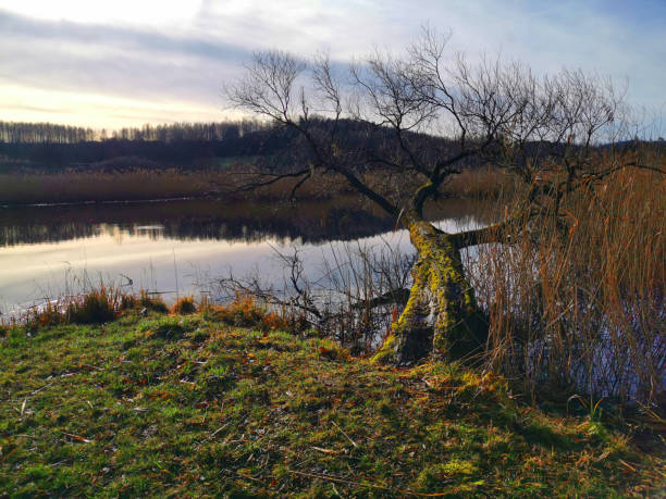 istock lake near Vidnava with nice nature 2170303927