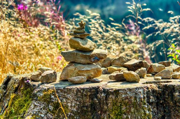 istock Balanced stones on a tree stump in a sunny field. 2170304509
